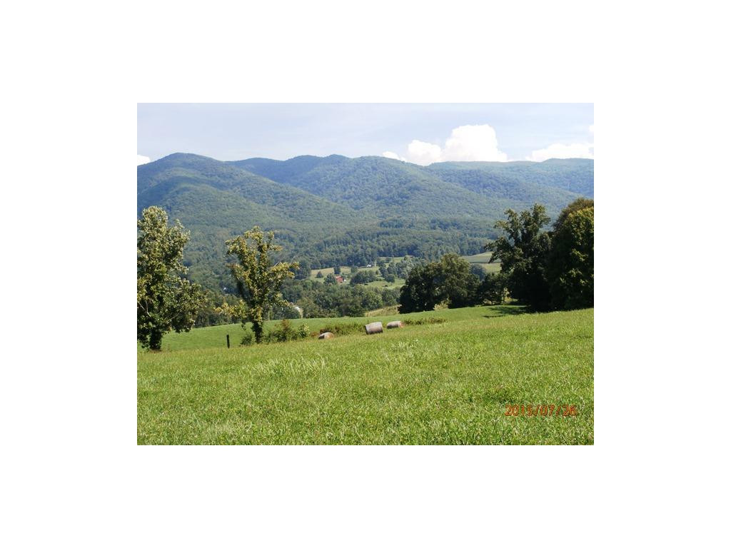 0 Cole Hollow Road Elizabethton, TN 37643 - Photo 3 of 14 Views