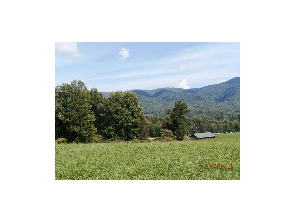 0 Cole Hollow Road Elizabethton, TN 37643 - Photo 4 of 14 Views