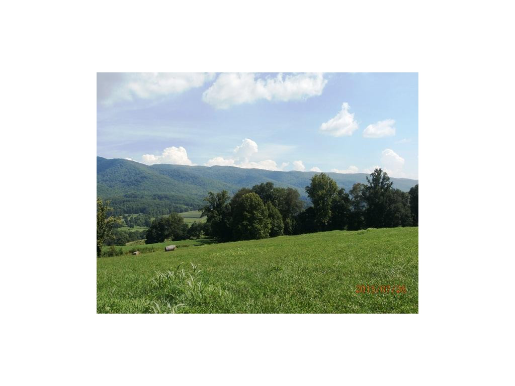 0 Cole Hollow Road Elizabethton, TN 37643 - Photo 5 of 14 Views
