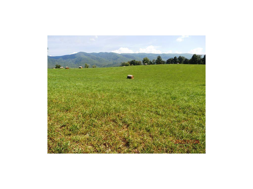 0 Cole Hollow Road Elizabethton, TN 37643 - Photo 6 of 14 Meadows