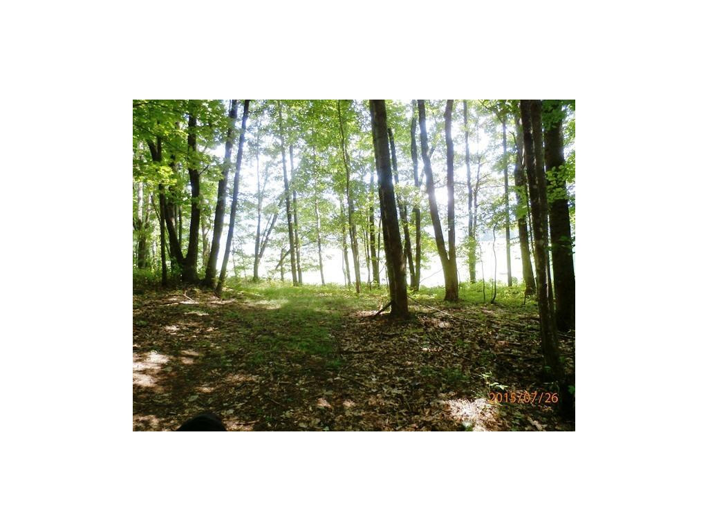 0 Cole Hollow Road Elizabethton, TN 37643 - Photo 8 of 14 Woods with Road