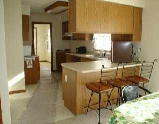 9555 Wells Road Maybee, MI 48159 - Photo 6 of 7 Photo 6