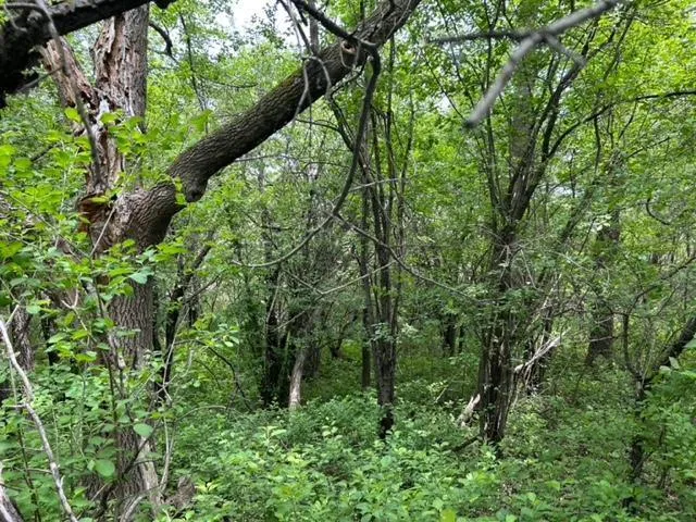 $120,000 | 28/29 Long Beach, Glenwood, MN 56334