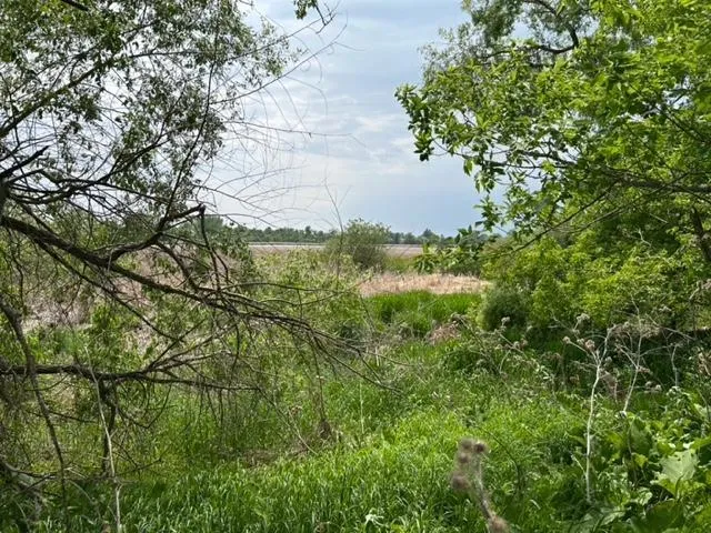 $120,000 | 28/29 Long Beach, Glenwood, MN 56334