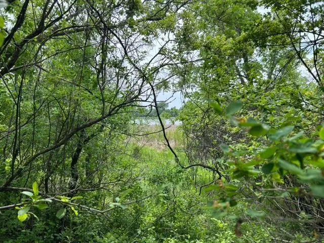 $120,000 | 28/29 Long Beach, Glenwood, MN 56334