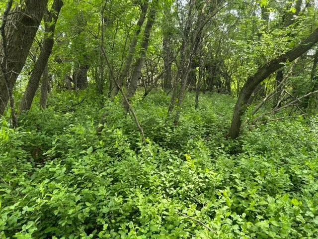 $120,000 | 28/29 Long Beach, Glenwood, MN 56334