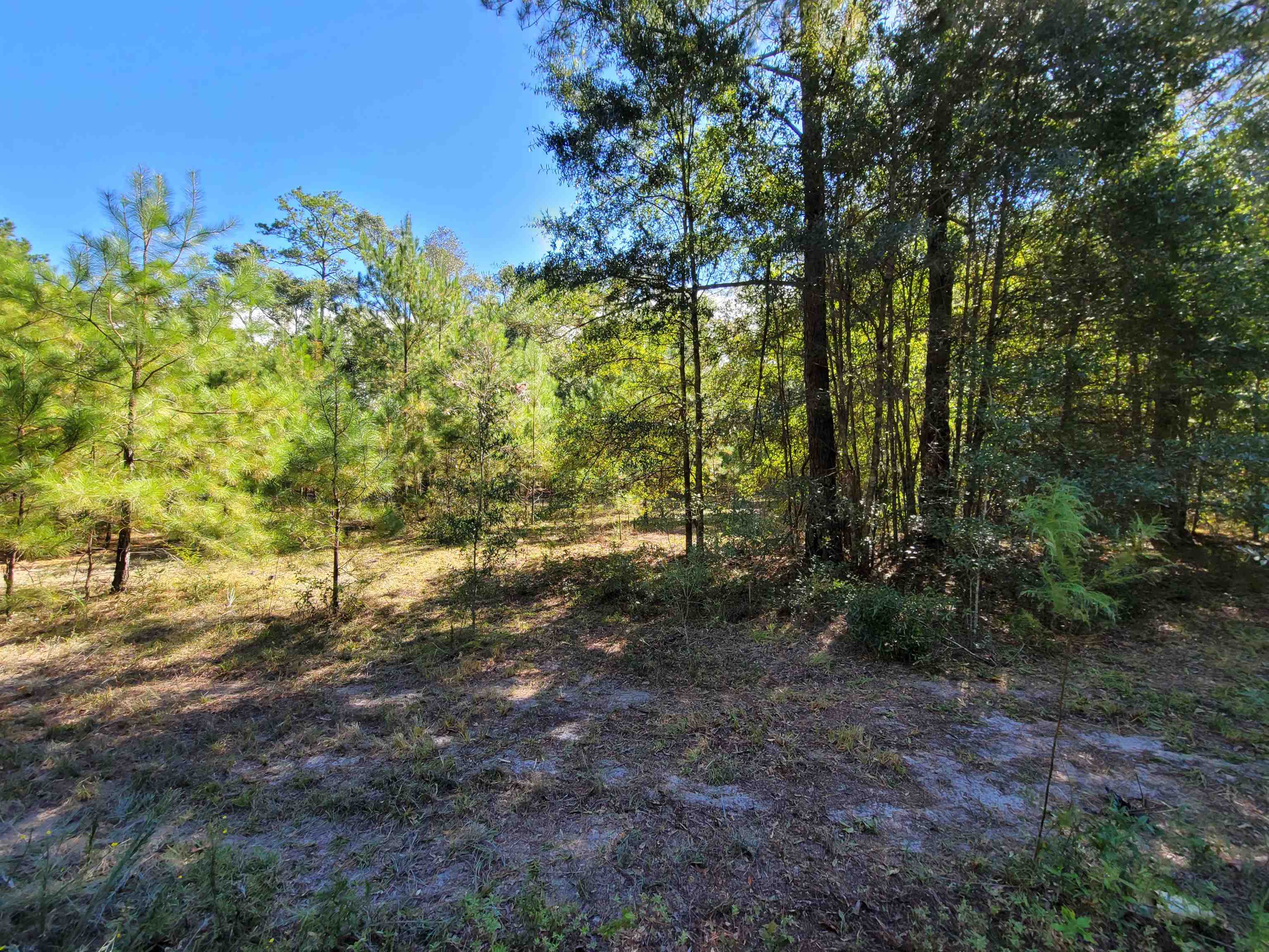 Lot 2 Cap Tram Road Tallahassee, FL 32317 - Photo 1 of 14 Gallery Image 1