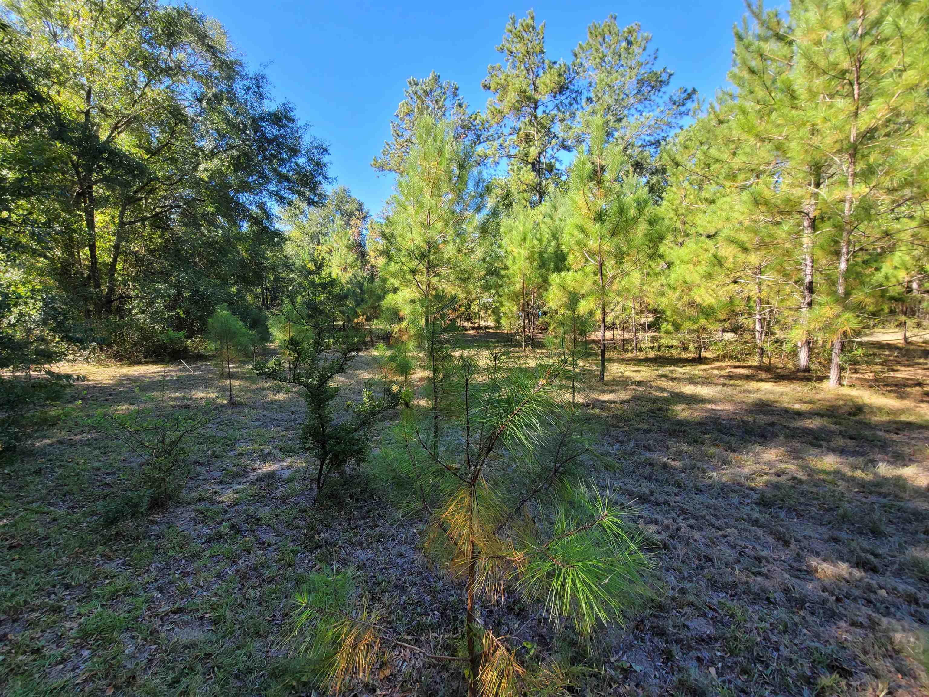Lot 2 Cap Tram Road Tallahassee, FL 32317 - Photo 3 of 14 Gallery Image 3