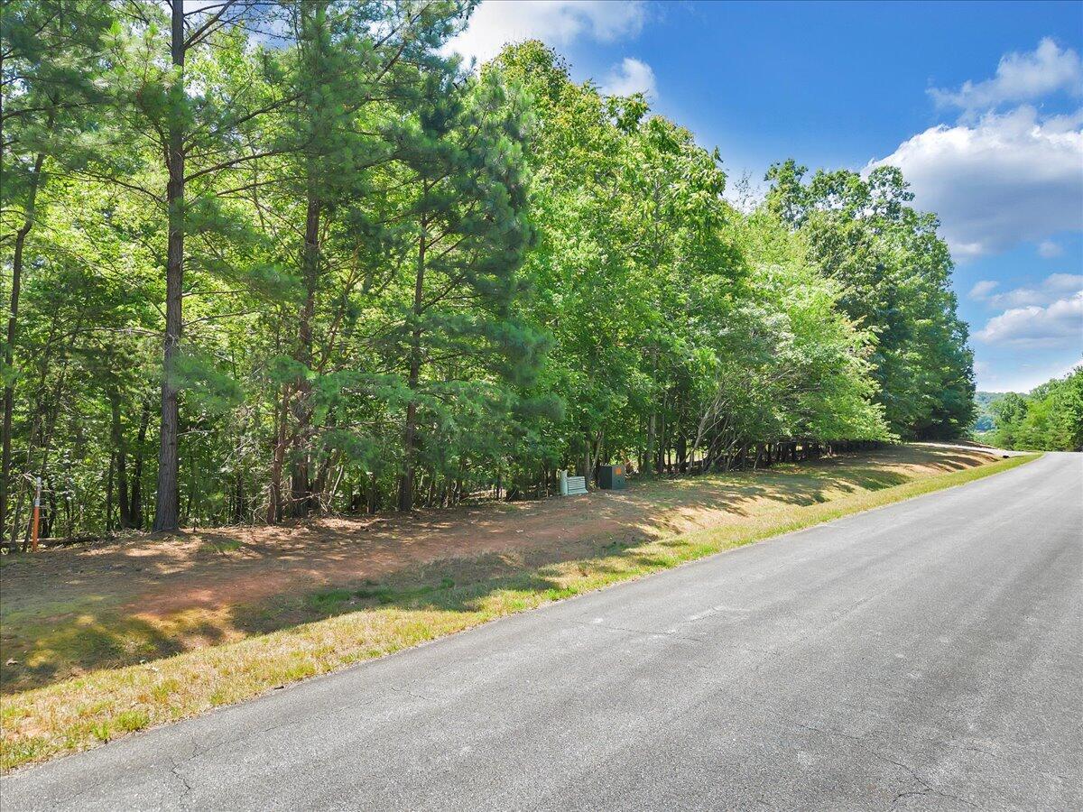 Lot 76 Runaway Bay Road Lynch Station, VA 24571 - Photo 5 of 12 a view of swimming pool with a yard