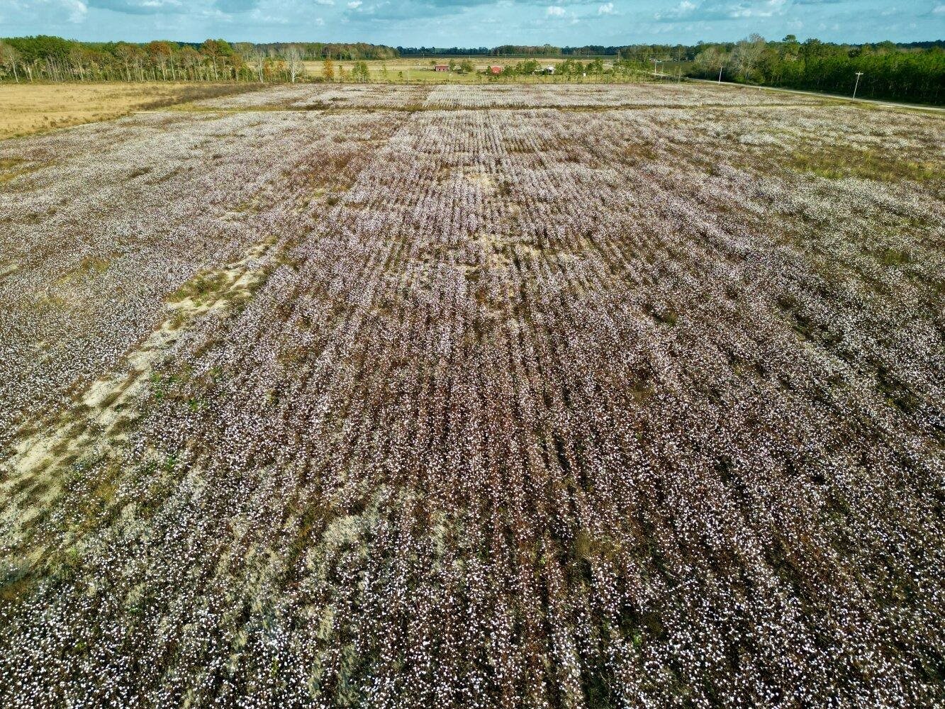 0 Wayside Road Atmore, AL 36502 - Photo 23 of 34