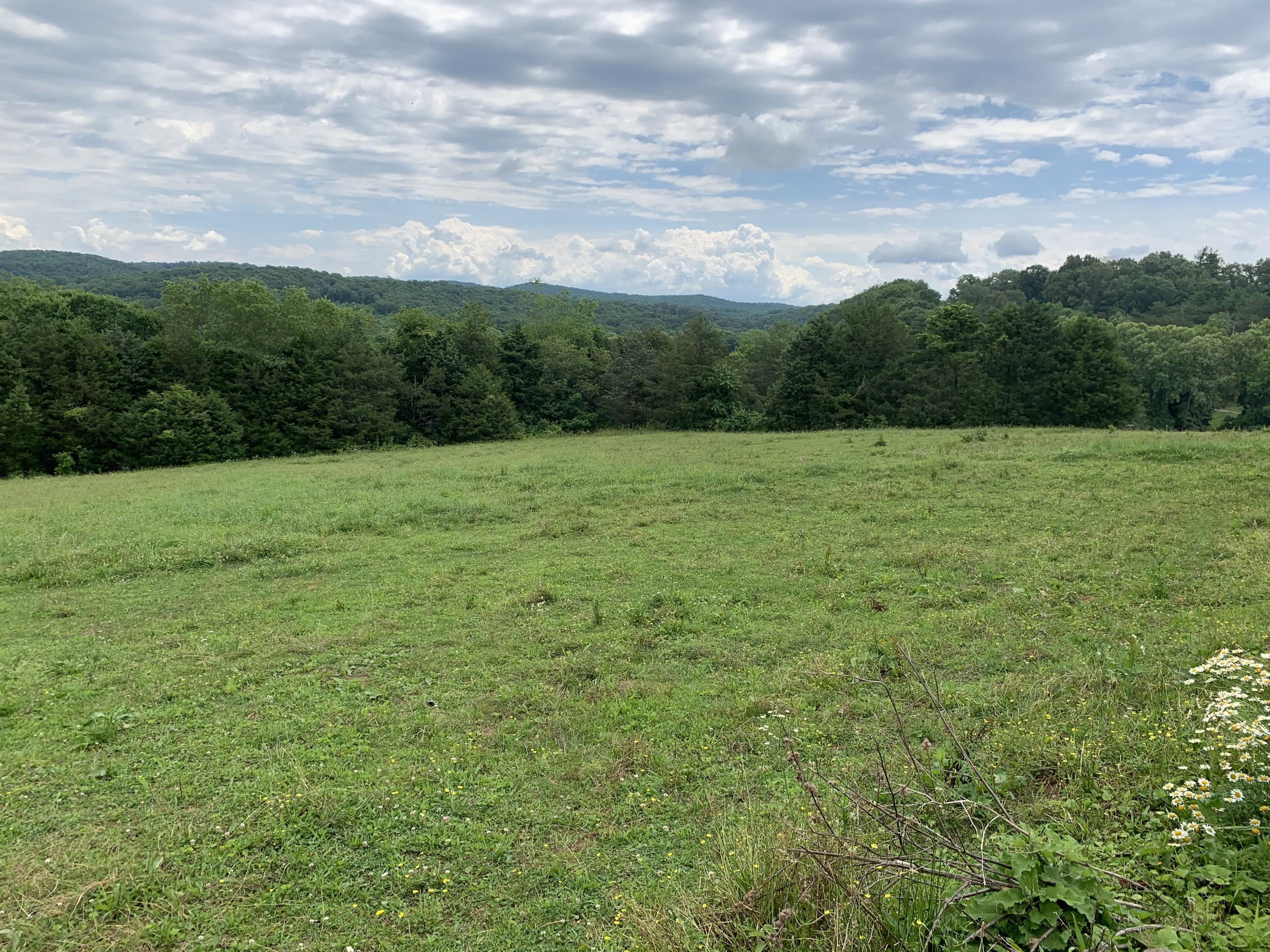 5370 Botetourt Road Fincastle, VA 24090 - Photo 9 of 12 IMG-1475