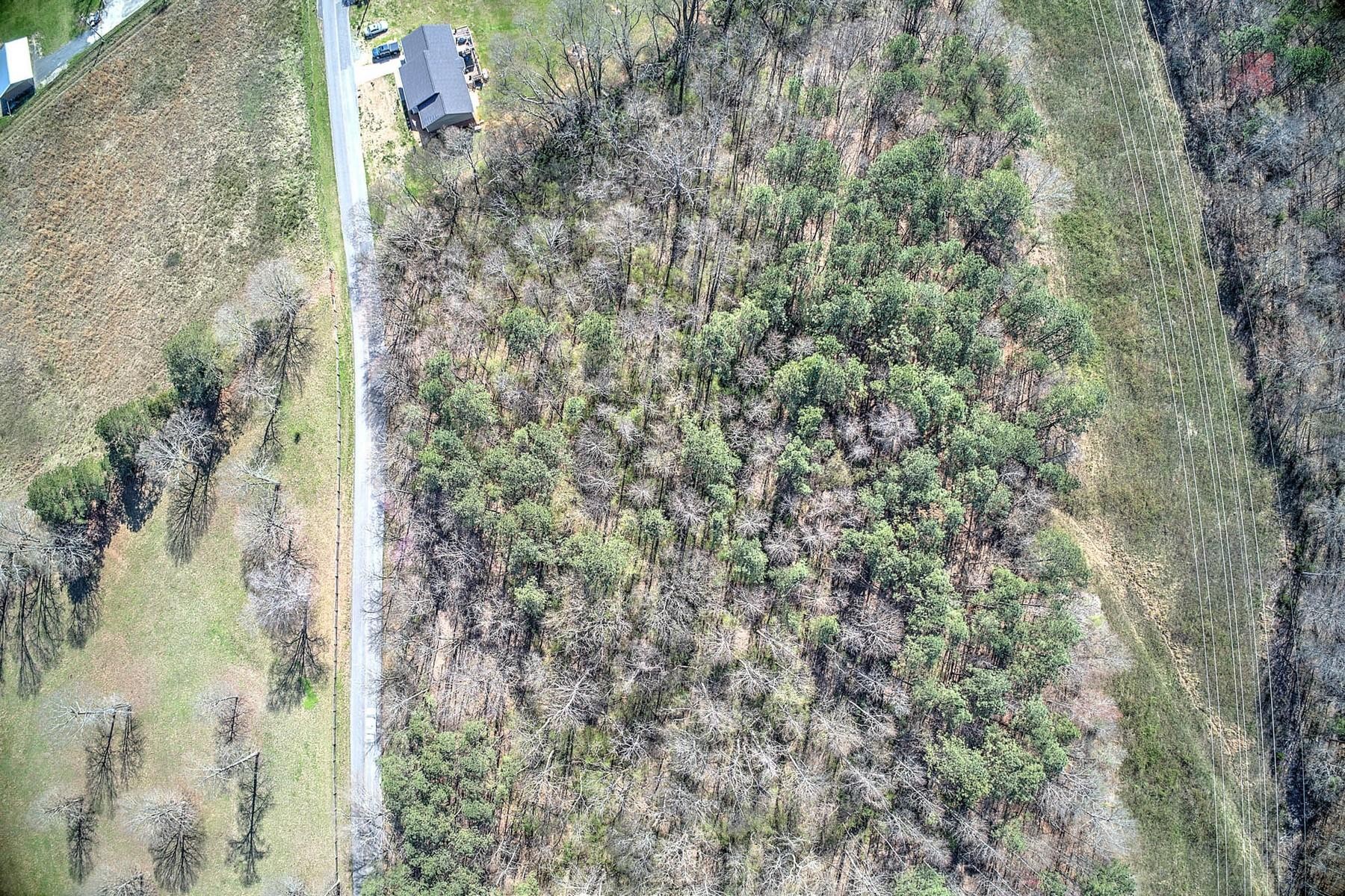 135 County Road Athens, TN 37303 - Photo 3 of 3 Gallery Image 3