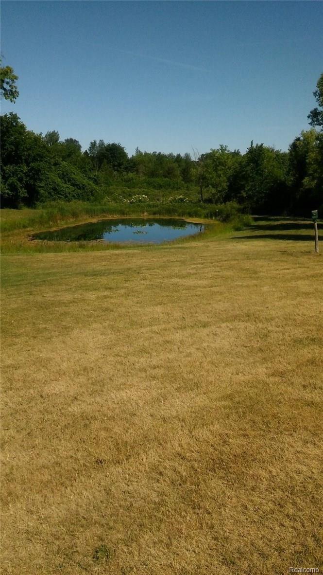 19028 Williamsville Road Gregory, MI 48137 - Photo 28 of 37 pond 3.jpg