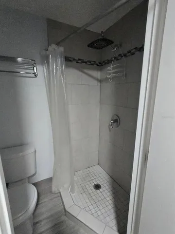 a bathroom with a shower and toilet