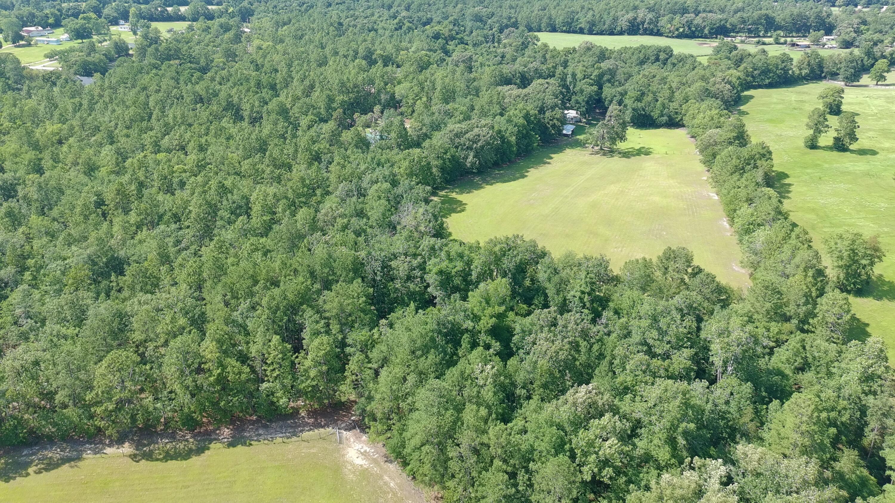 41-acres Whiskey Road Aiken, SC 29803 - Photo 41 of 44