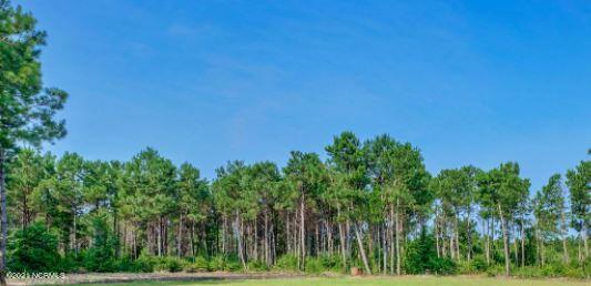 0 Jackson Store Road Beulaville, NC 28518 - Photo 1 of 3 Land Photo 1