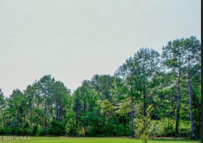 0 Jackson Store Road Beulaville, NC 28518 - Photo 2 of 3 Land Photo