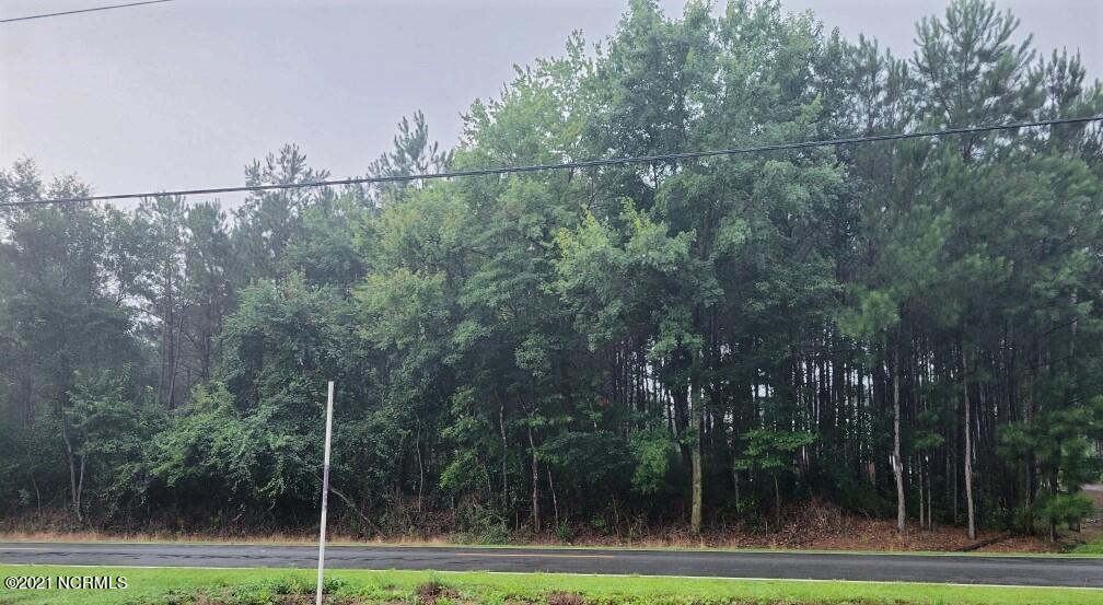 0 Jackson Store Road Beulaville, NC 28518 - Photo 3 of 3 Lot from Road