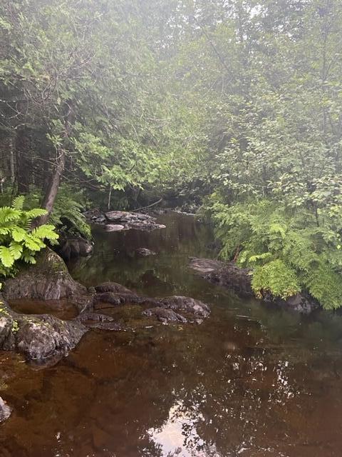 M2-l2 Back Ridge Road Houlton, ME 04730 - Photo 20 of 79 IMG_0655