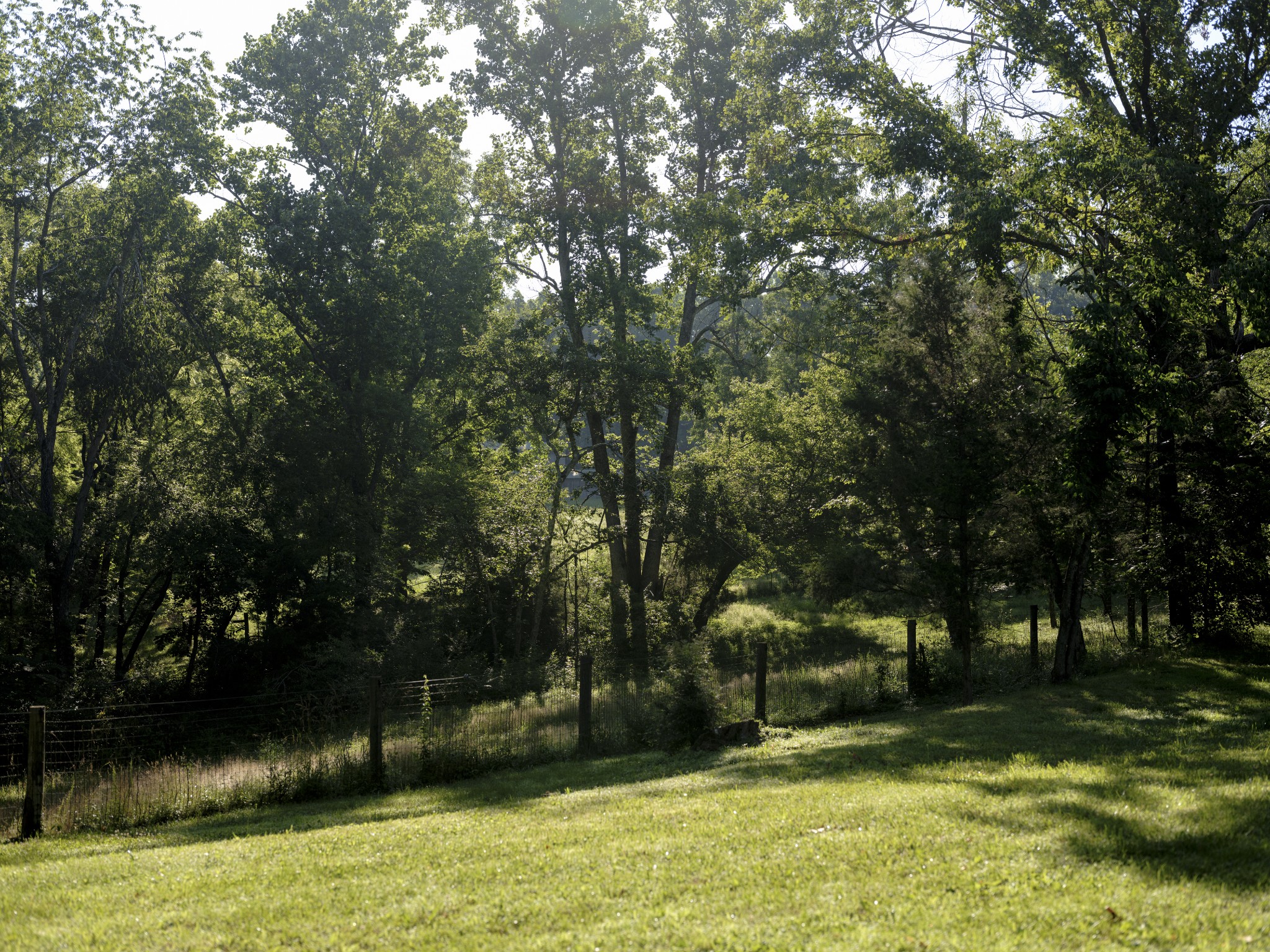 7725 Caney Fork Road Fairview, TN 37062 - Photo 43 of 59