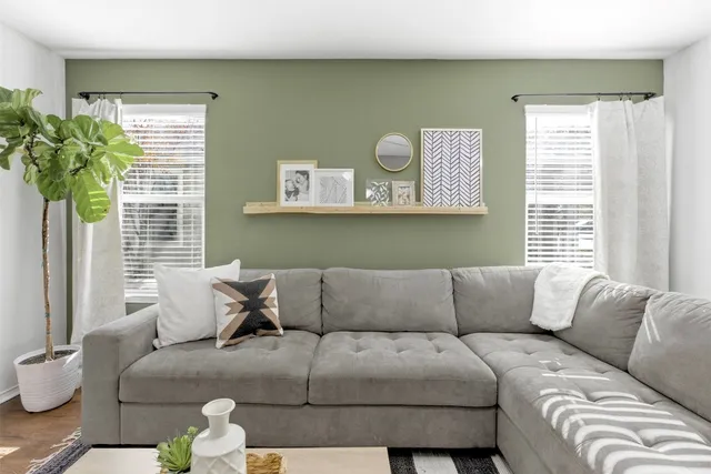 a living room with a couch and a potted plant