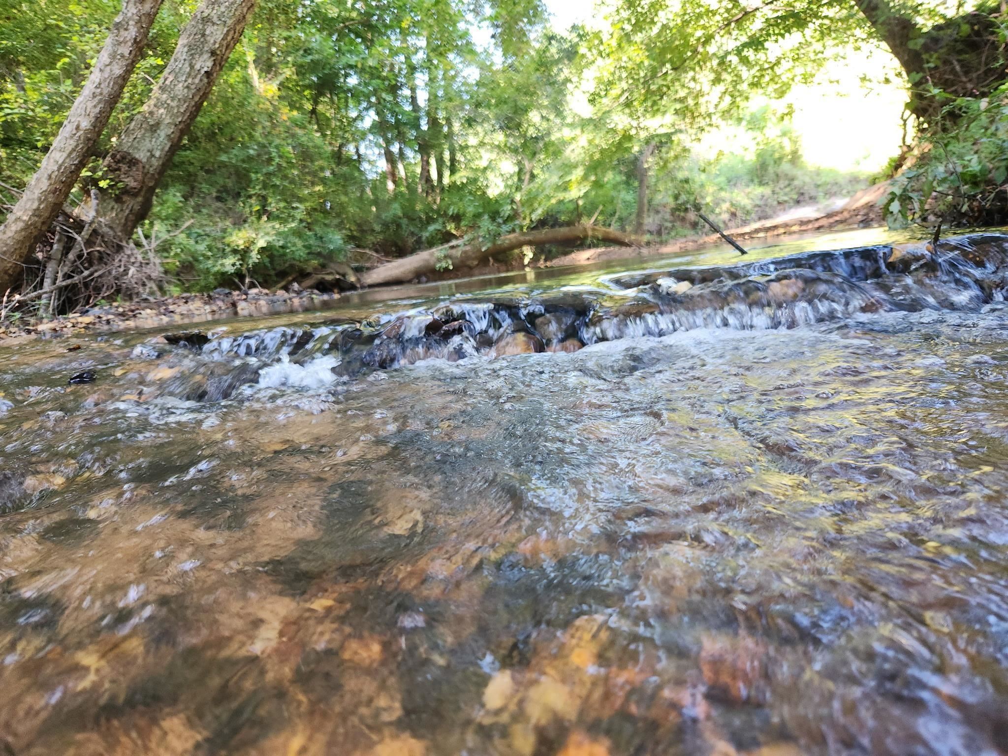 0 Little Africa Road Campobello, SC 29322 - Photo 11 of 24