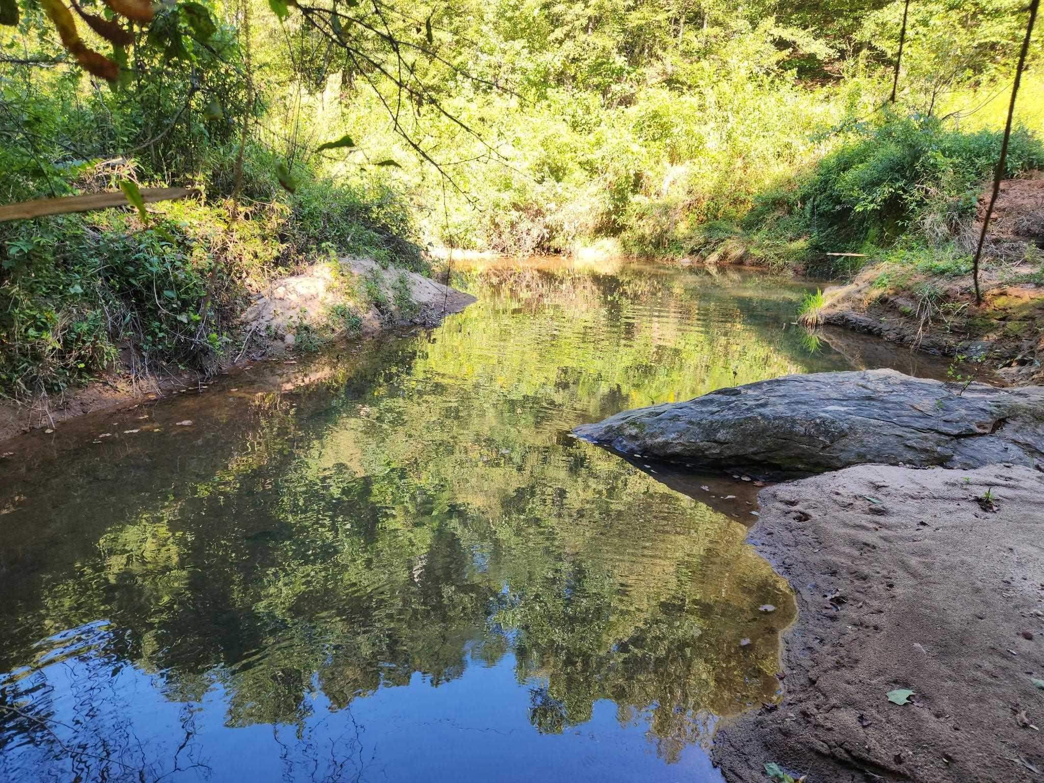 0 Little Africa Road Campobello, SC 29322 - Photo 12 of 24