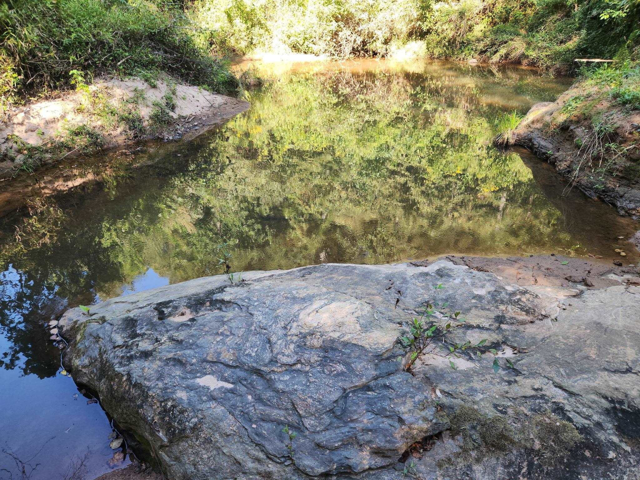 0 Little Africa Road Campobello, SC 29322 - Photo 13 of 24