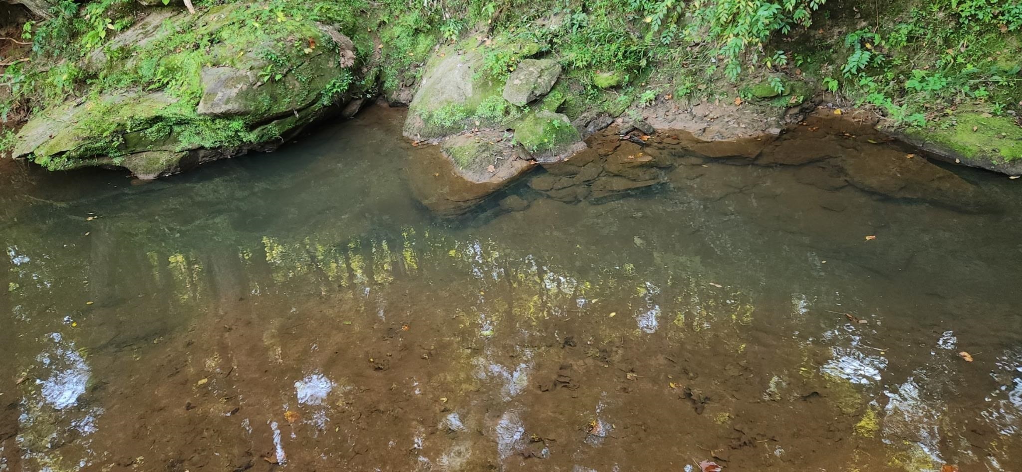 0 Little Africa Road Campobello, SC 29322 - Photo 15 of 24