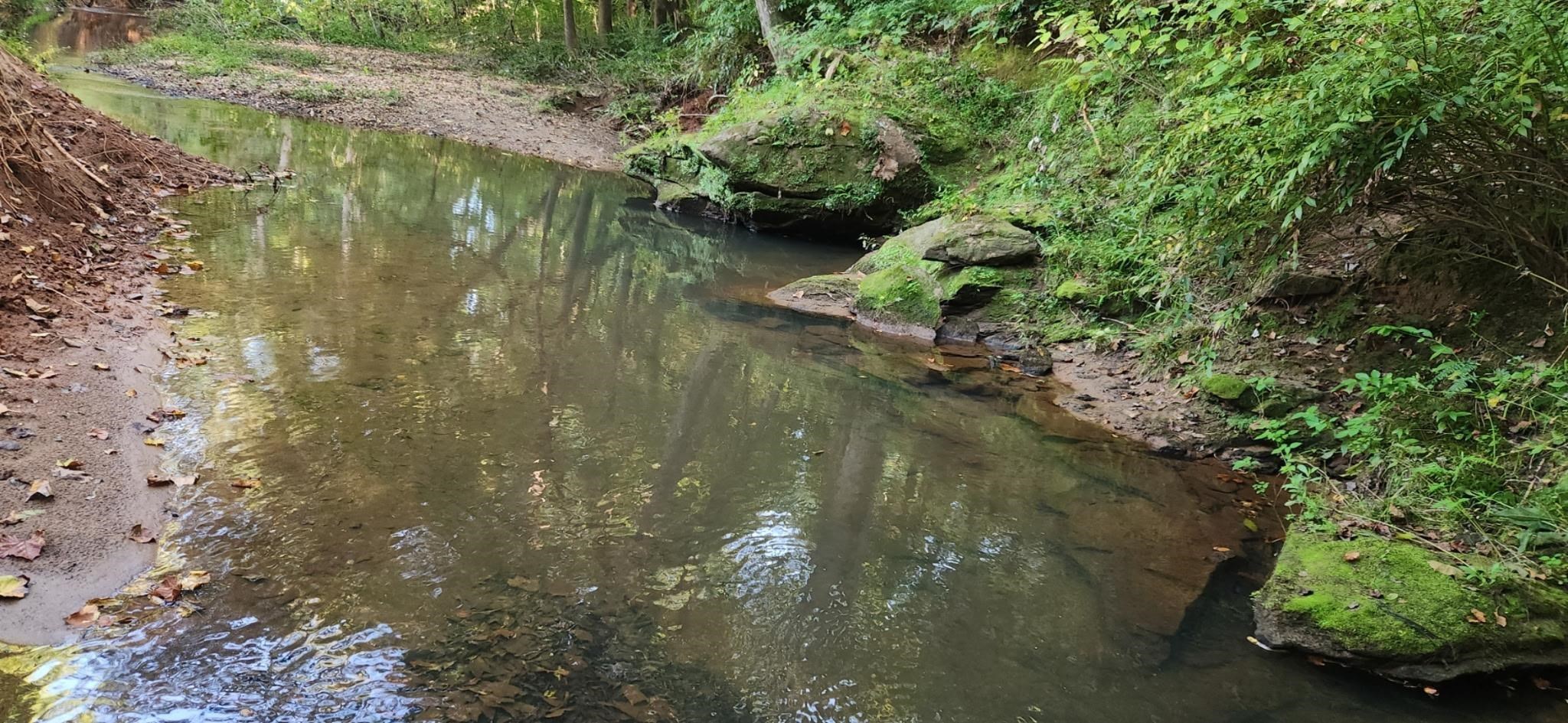 0 Little Africa Road Campobello, SC 29322 - Photo 16 of 24