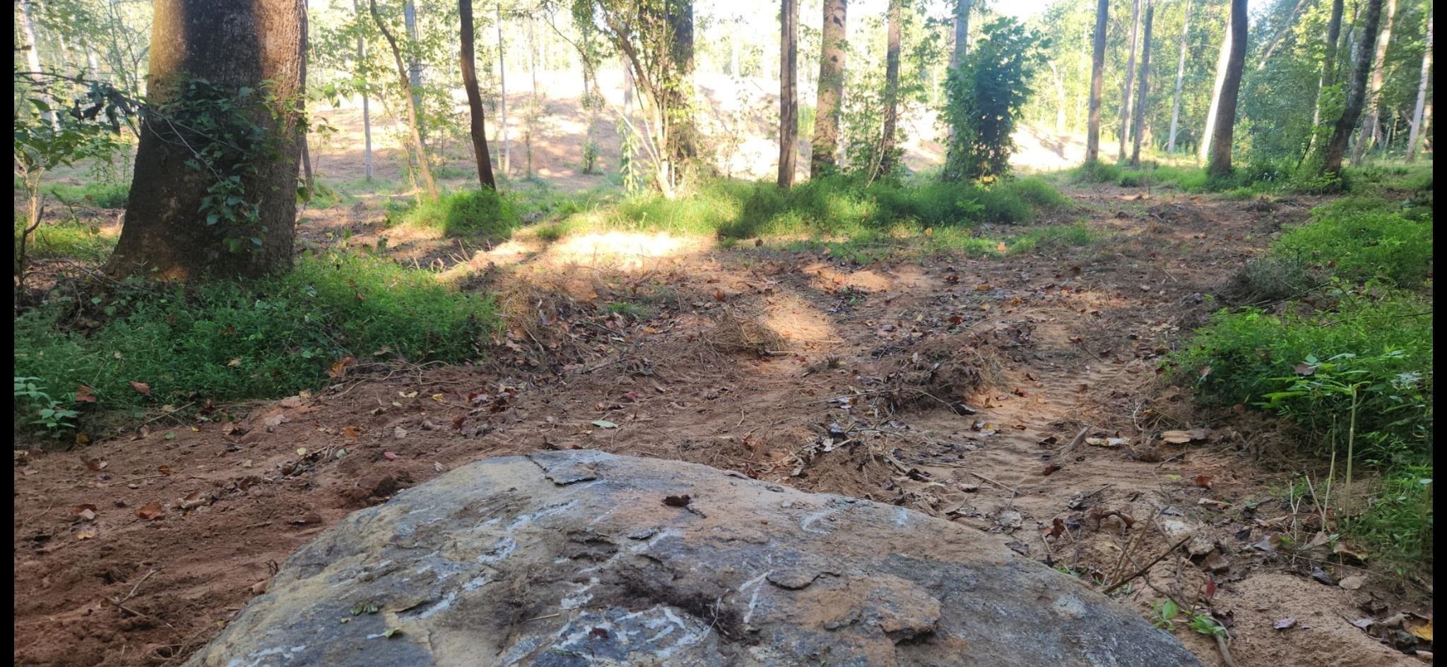 0 Little Africa Road Campobello, SC 29322 - Photo 17 of 24