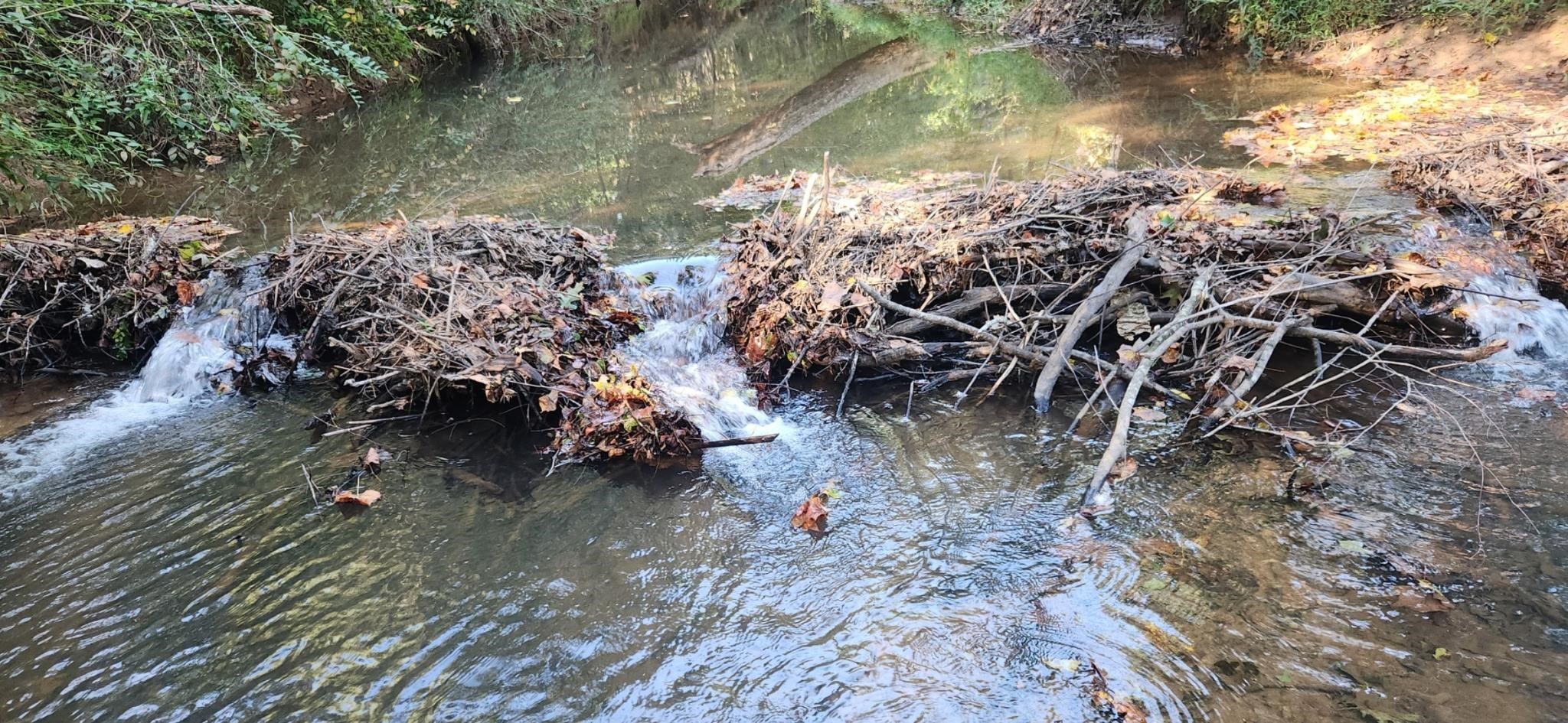 0 Little Africa Road Campobello, SC 29322 - Photo 18 of 24