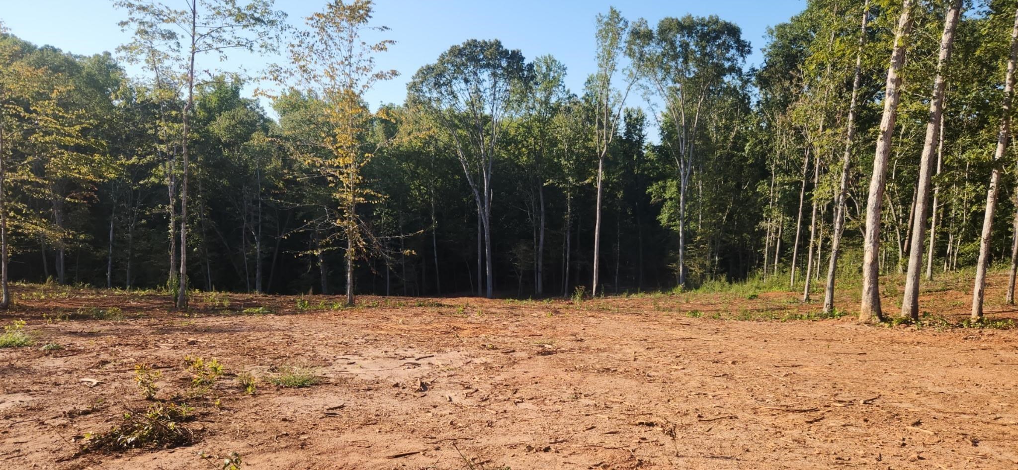 0 Little Africa Road Campobello, SC 29322 - Photo 21 of 24