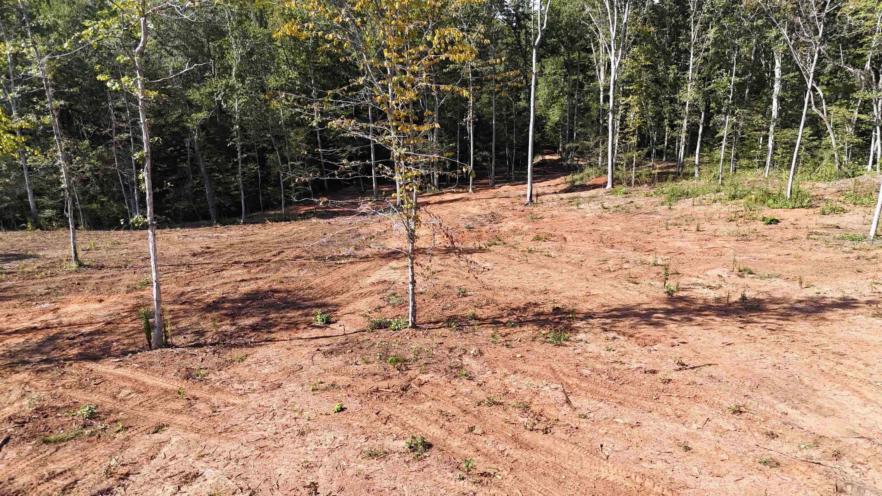 0 Little Africa Road Campobello, SC 29322 - Photo 6 of 24