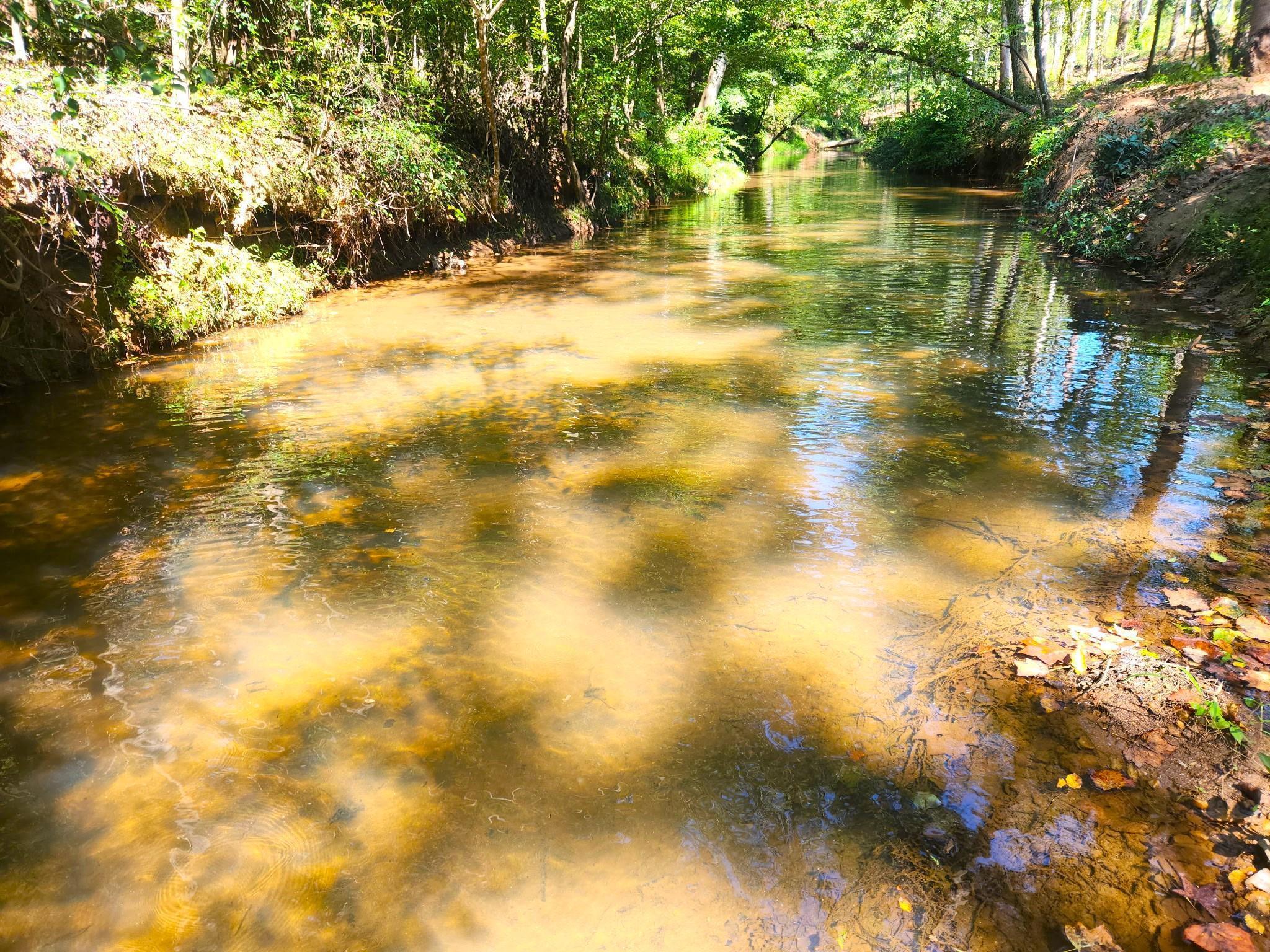 0 Little Africa Road Campobello, SC 29322 - Photo 7 of 24