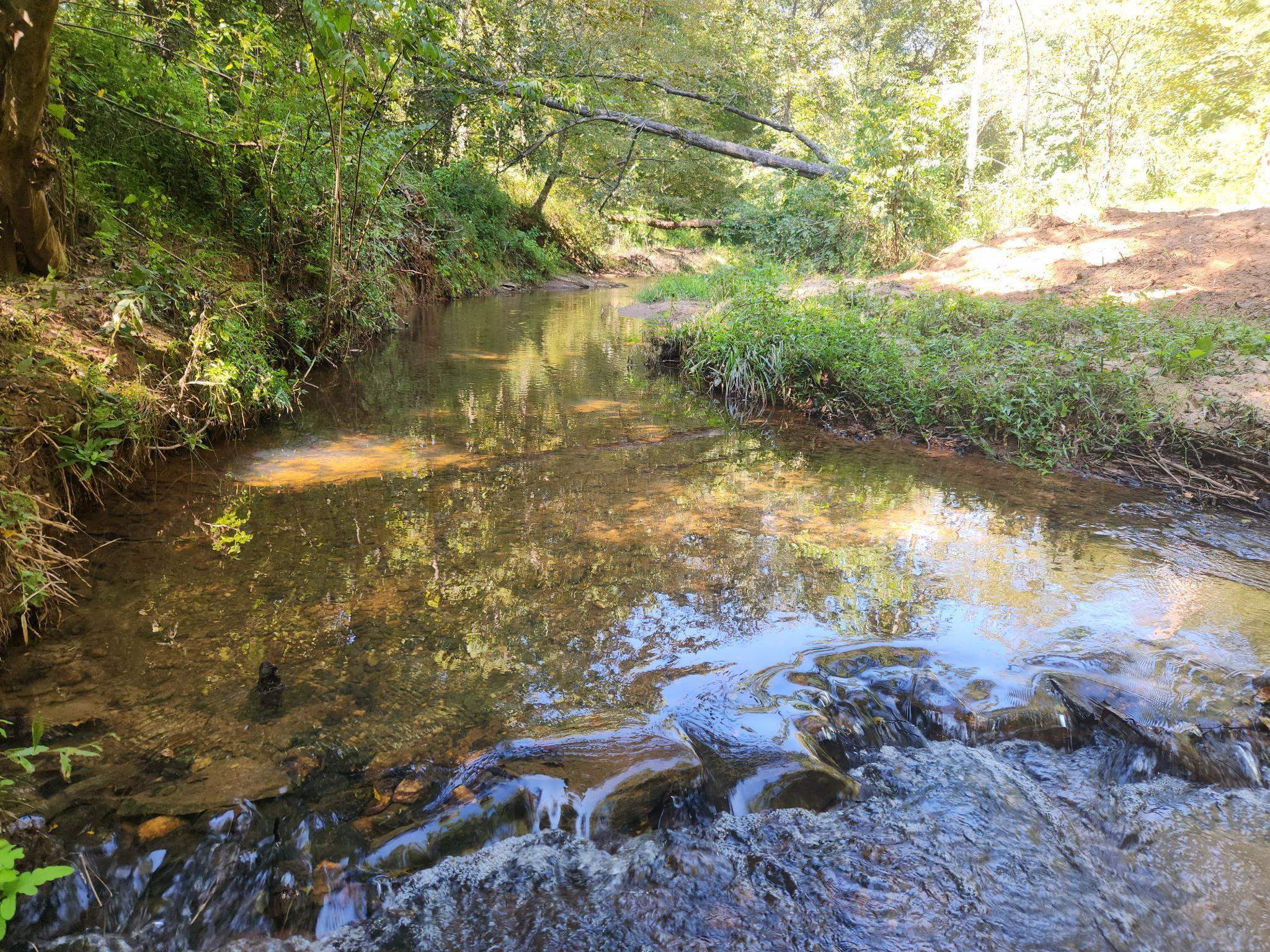 0 Little Africa Road Campobello, SC 29322 - Photo 9 of 24