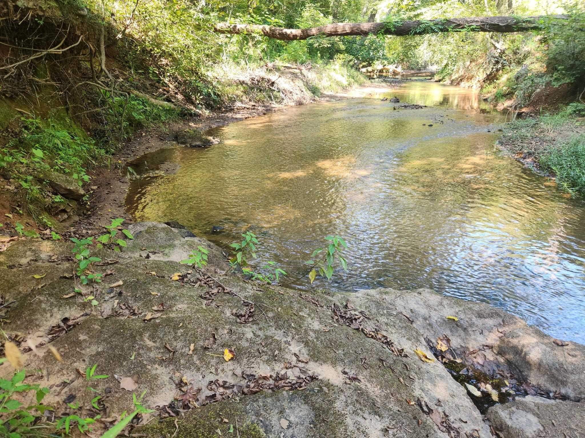 0 Little Africa Road Campobello, SC 29322 - Photo 10 of 24