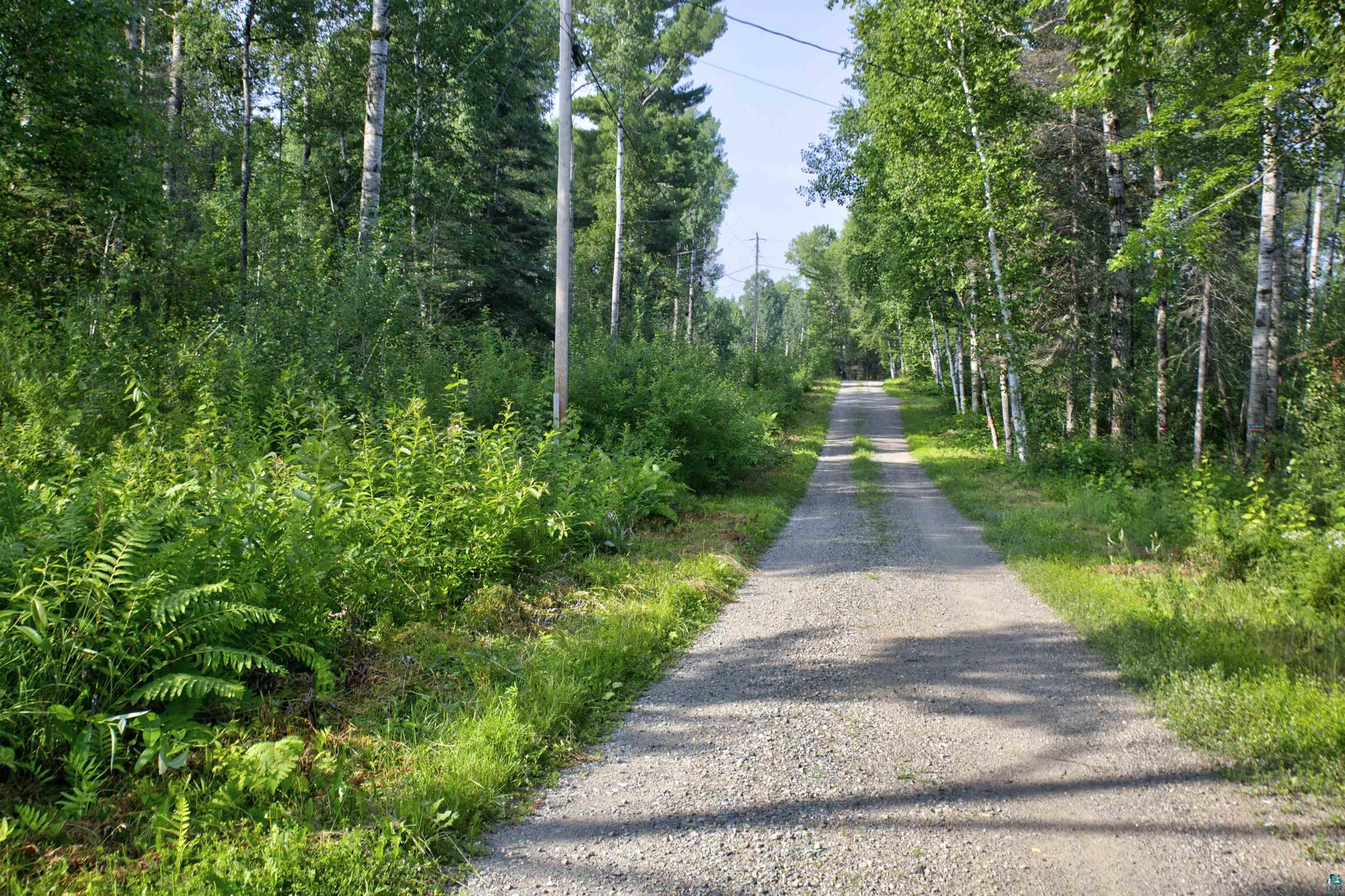 12351 Endless Waters Road Ely, MN 55731 - Photo 2 of 48 Endless Waters Road