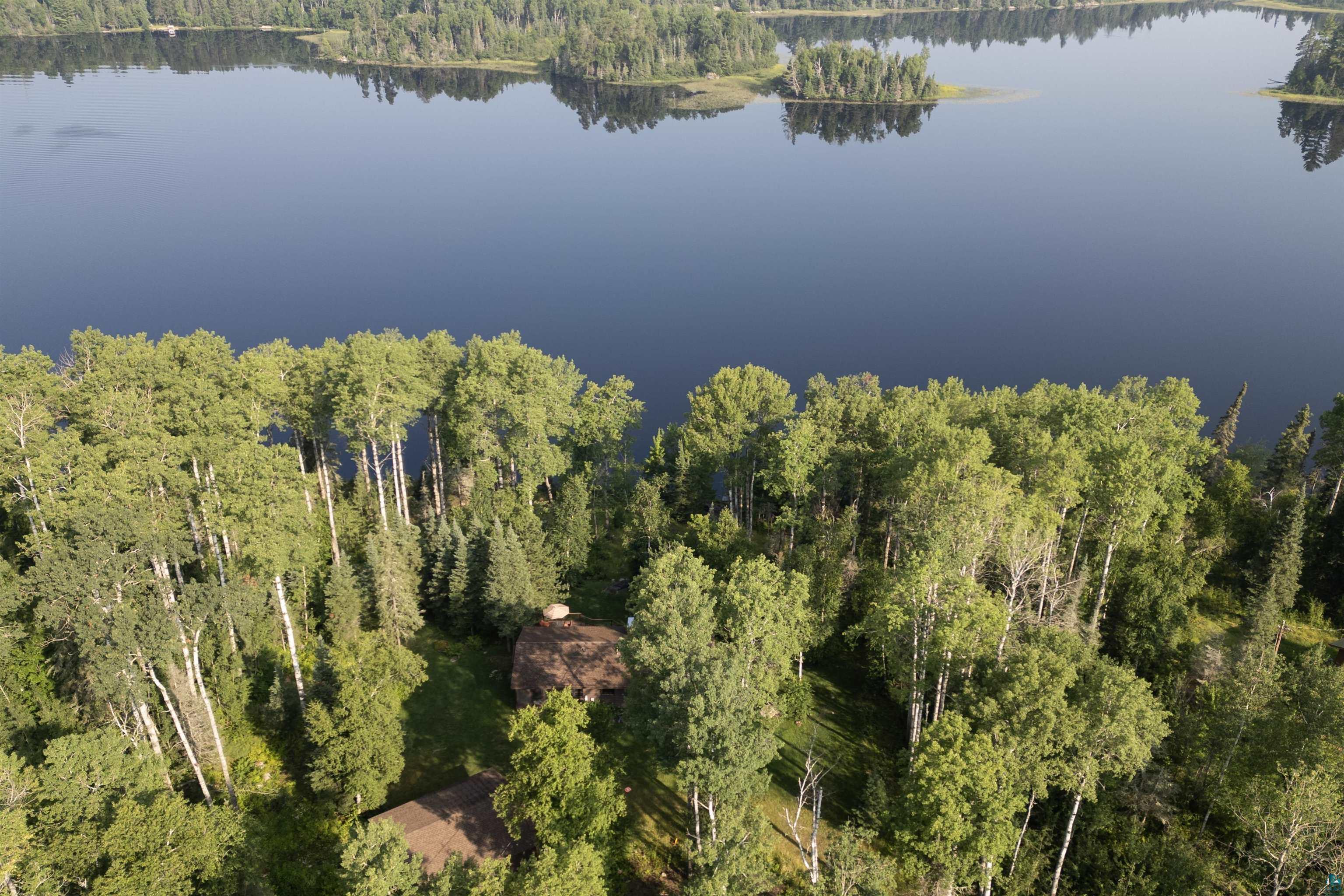12351 Endless Waters Road Ely, MN 55731 - Photo 33 of 48 Aerial overview of property's location with a heavily wooded area and a nearby body of water