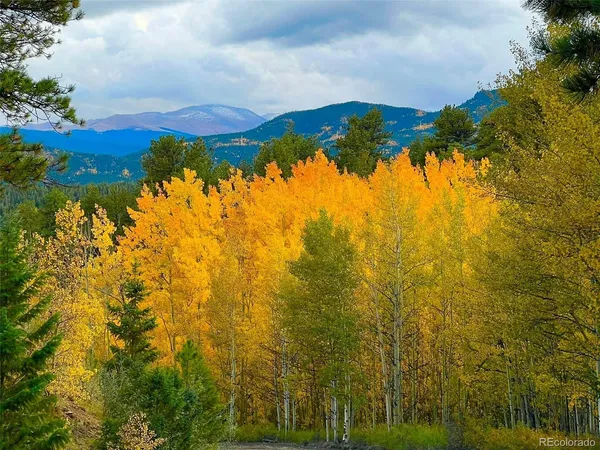 a view of ocean from a yard