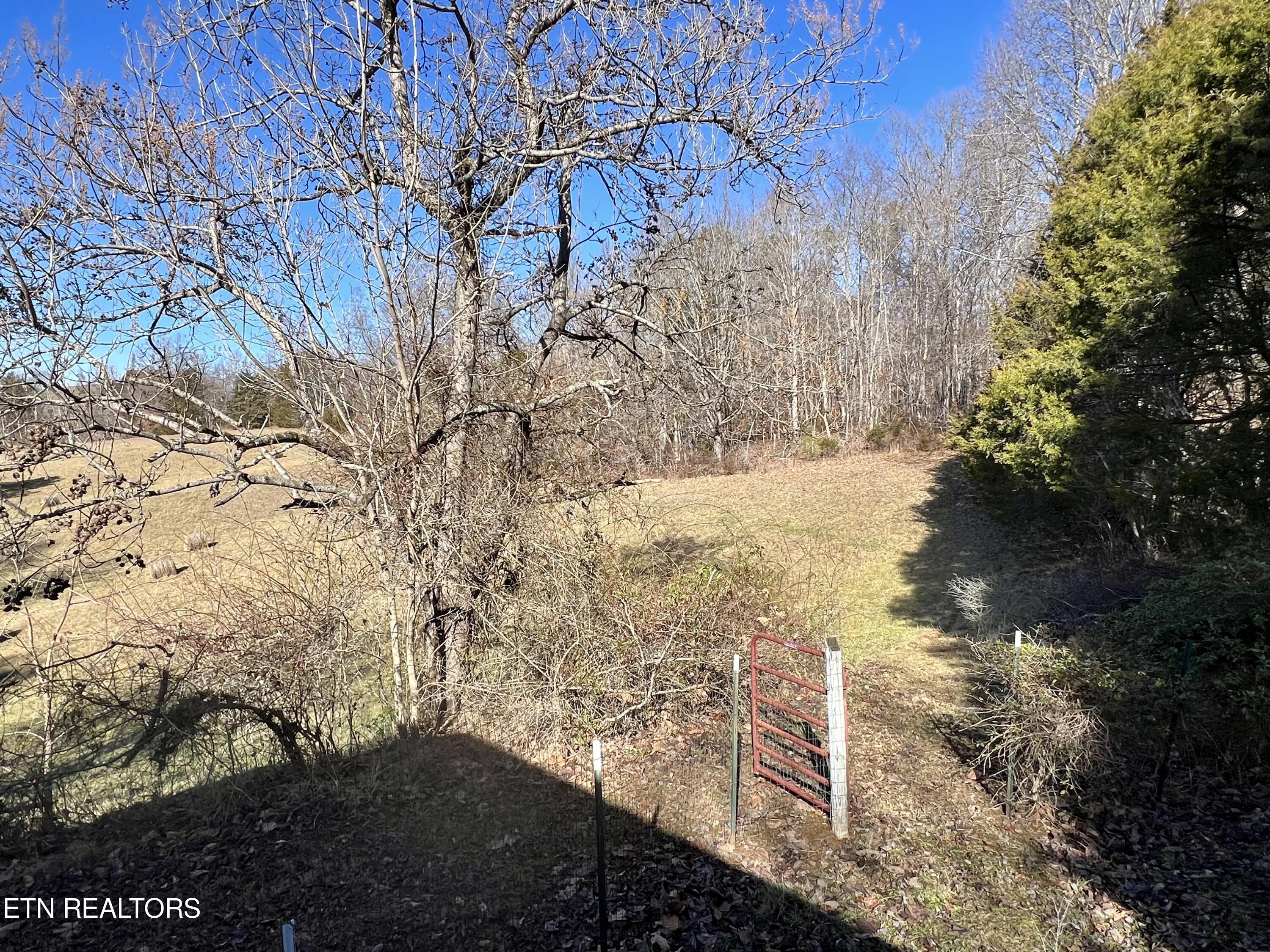171 England Road Tazewell, TN 37879 - Photo 45 of 47 IMG_6537