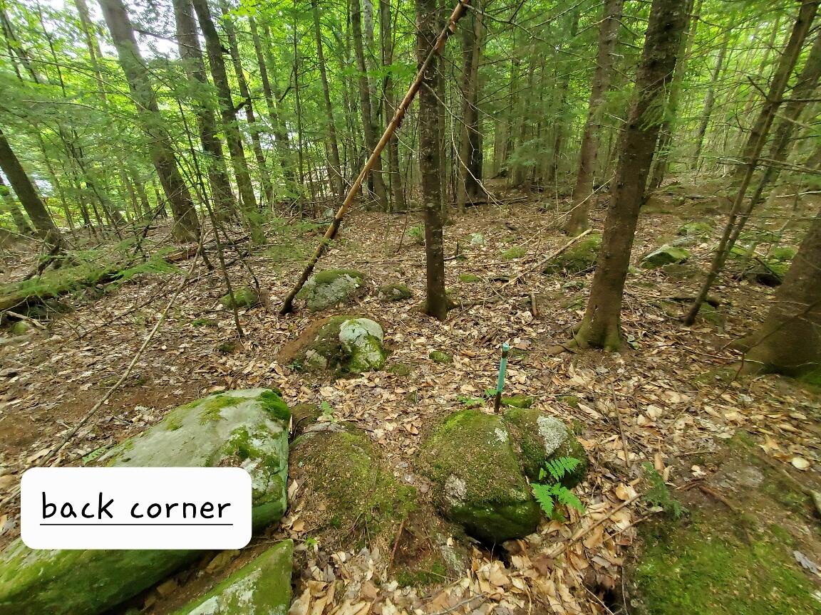 Map18-lot27 Sandy Beach Road Danforth, ME 04424 - Photo 22 of 28 back corner