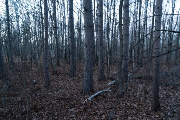 $34,900 | 87927 Alder Loop, Sturgeon Lake, MN 55783