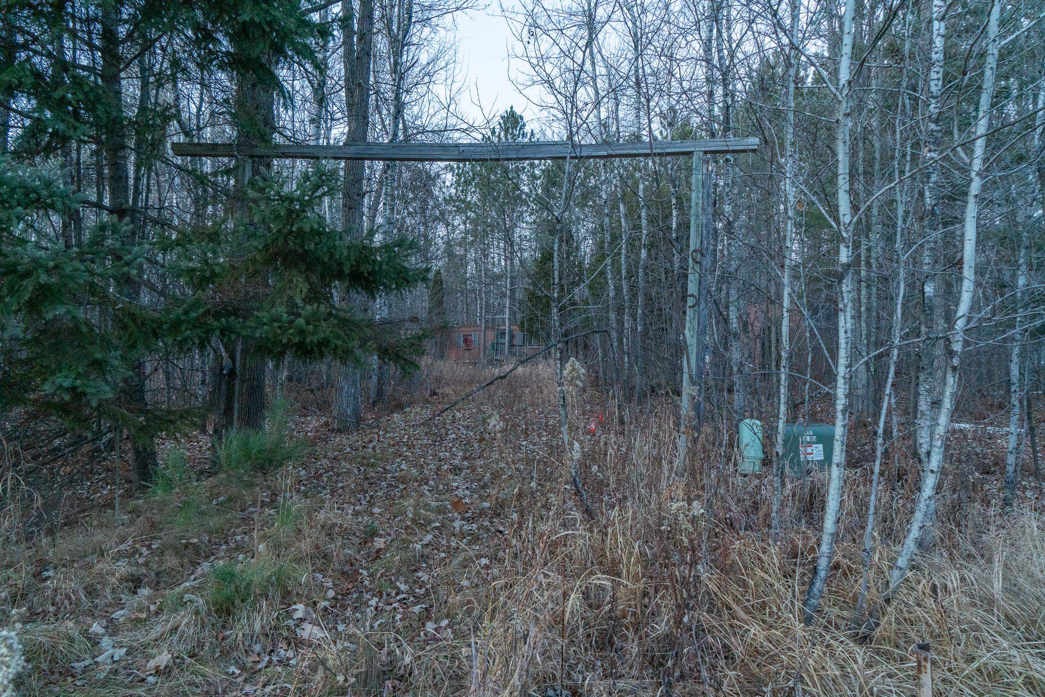 87927 Alder Loop Sturgeon Lake, MN 55783 - Photo 10 of 20 View of woods