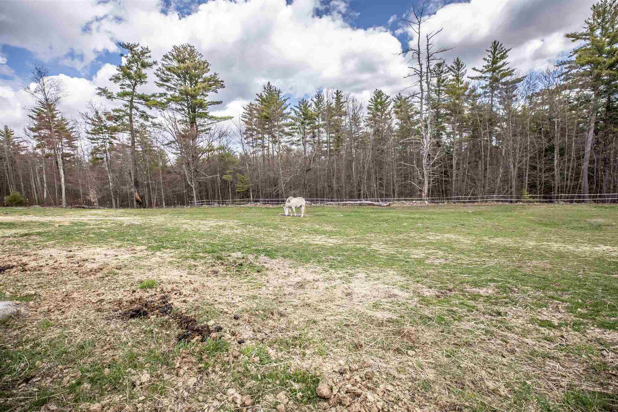 55 Ferrin Road Chichester, NH 03258 - Photo 31 of 39