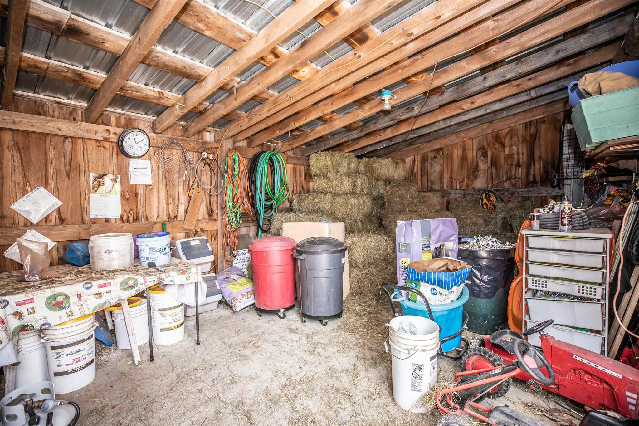 55 Ferrin Road Chichester, NH 03258 - Photo 34 of 39
