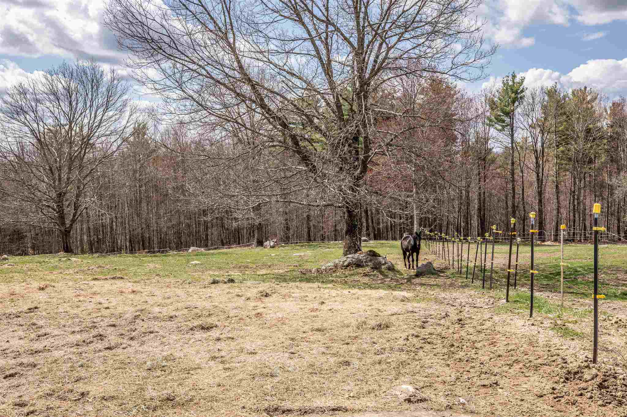 55 Ferrin Road Chichester, NH 03258 - Photo 38 of 39