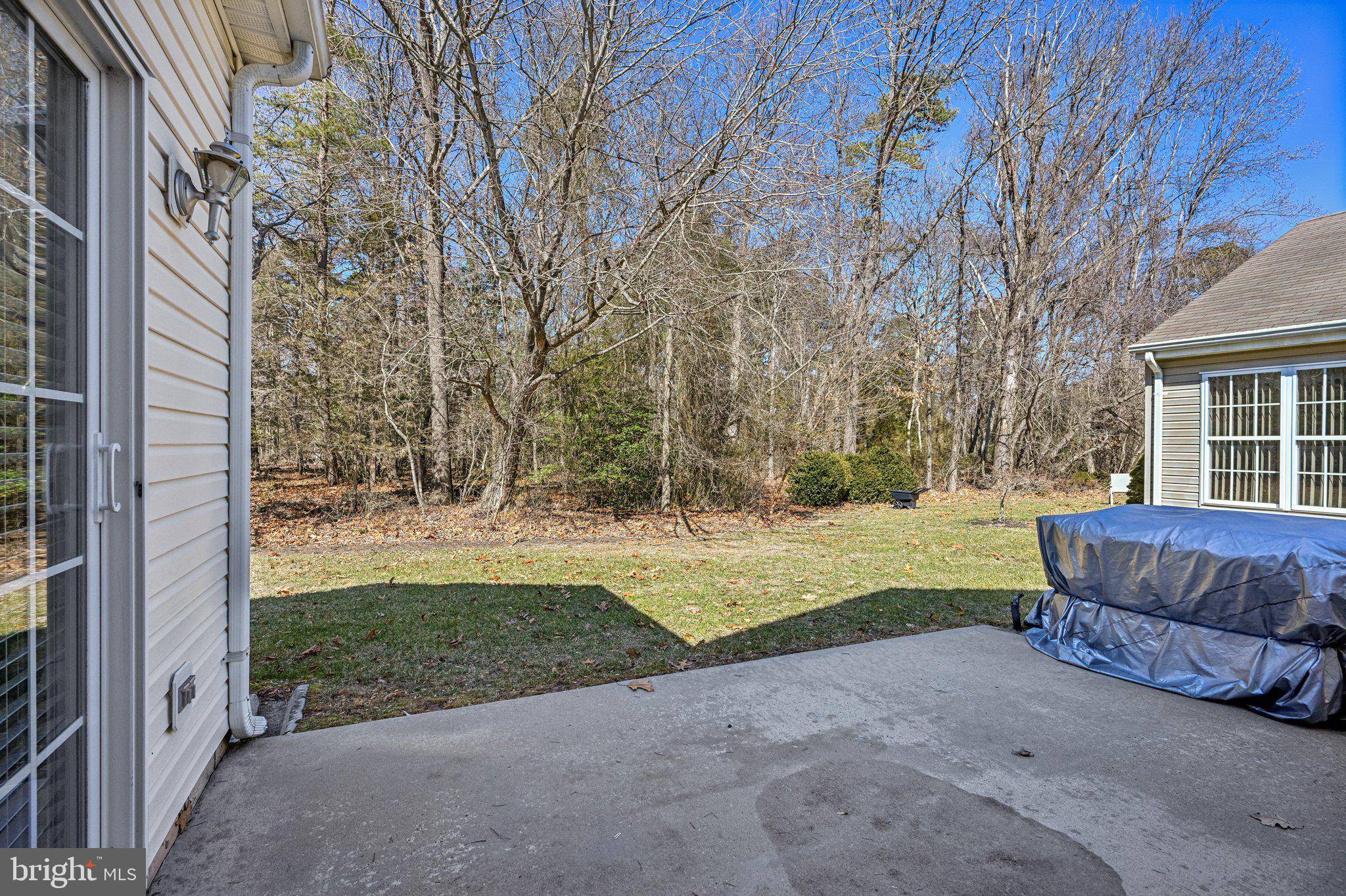 13 Carriage Berlin, NJ 08009 - Photo 40 of 41 a view of backyard with large trees and plants