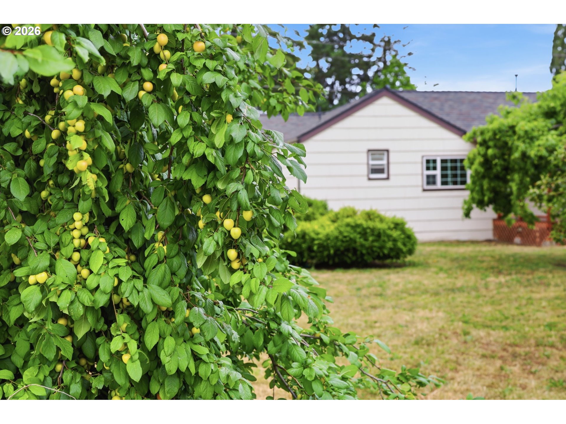 2063 2nd Street Springfield, OR 97477 - Photo 44 of 45