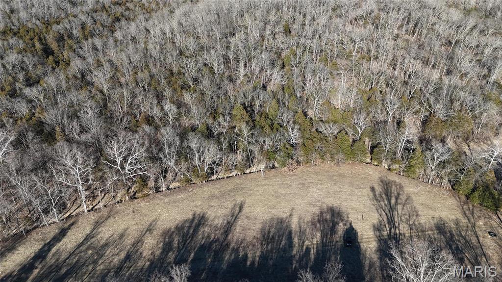 6 Lot Hematite Farms Road Festus, MO 63028 - Photo 2 of 3